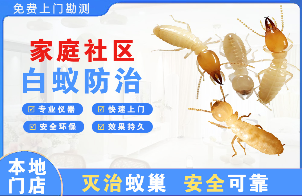 大冶家庭社区白蚁防治