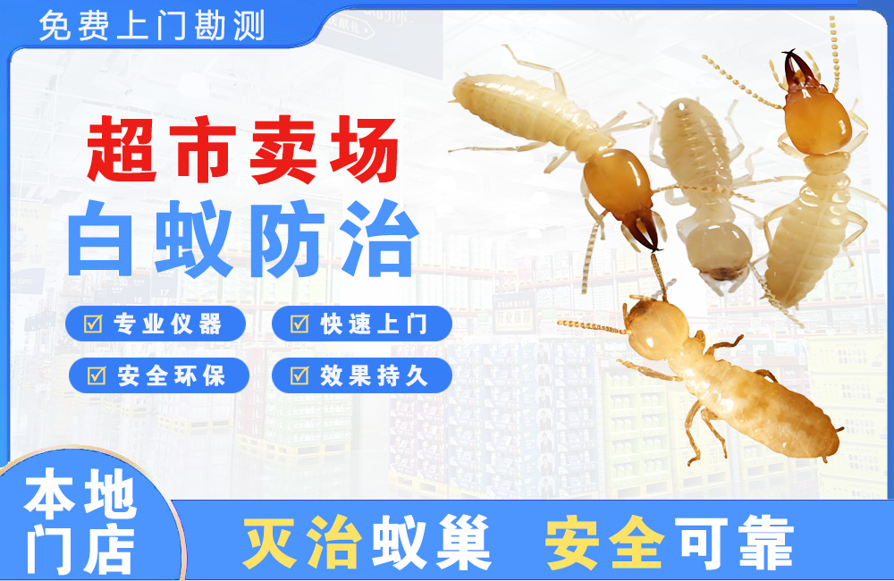 大冶超市卖场白蚁防治