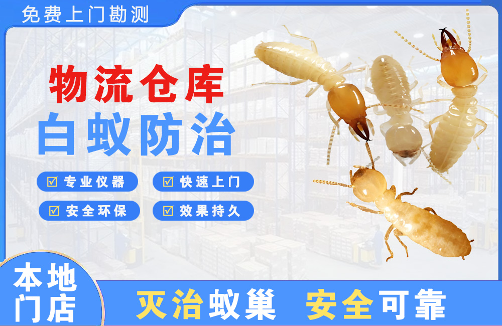 大冶物流仓库白蚁防治