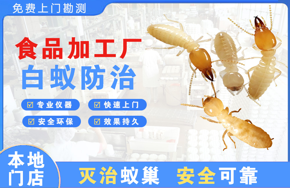 大冶食品加工厂白蚁防治