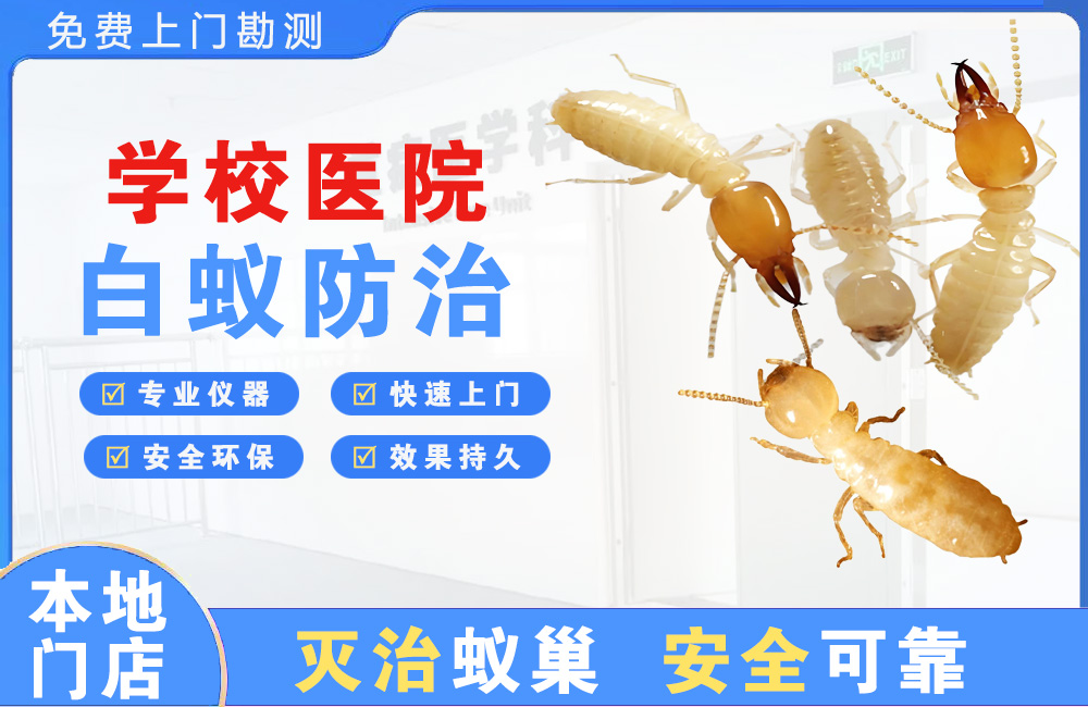 大冶学校医院白蚁防治