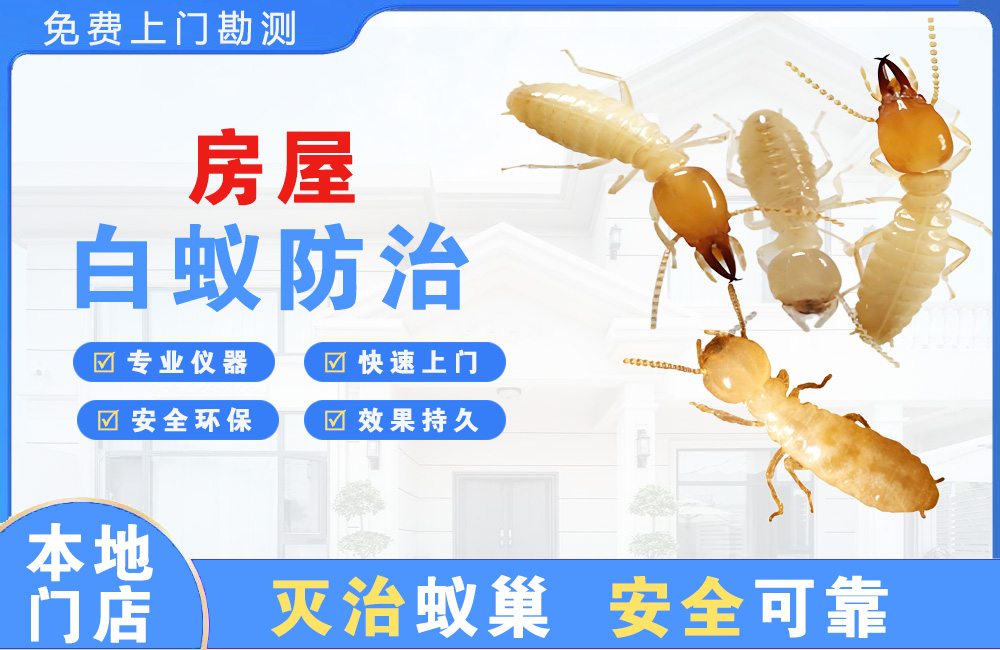 大冶房屋白蚁防治